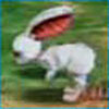 The other cutest random battle monster ever.